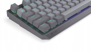 Klawiatura Endorfy Thock V2 ENDORFY Red (EY5A125) 10