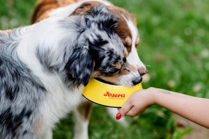 Josera Mini Senior z kurczakiem i ryżem 3kg 8