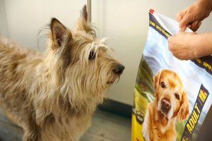 Josera Medi / Maxi Chicken & Sweet Potato 3kg 6