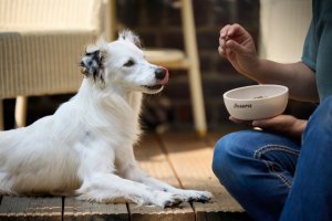 Josera High Protein Adult Sea Fish 3kg 4