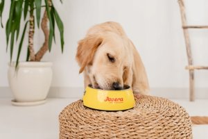 Josera YoungStar 3kg 7