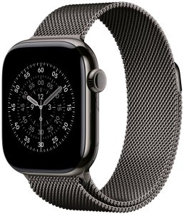 APPLE 42mm Slate Milanese�Loop 2