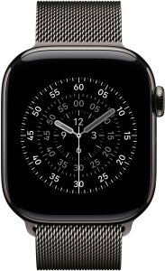 APPLE 42mm Slate Milanese�Loop 3