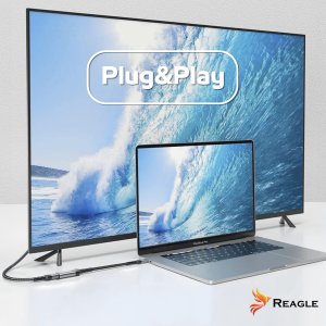 Adapter USB Reagle USB-C - miniDisplayPort Szary 4