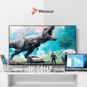 Adapter USB Reagle USB-C - miniDisplayPort Szary 10