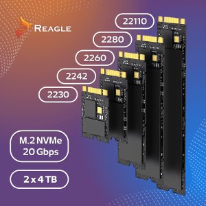 Stacja dokująca Reagle Stacja klonująca dyski SSD NVME PCIe M.2 USB-C 3.2 Kieszeń Adpater 20Gbps 3