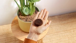 Ekspres ciśnieniowy Philips Baristina BAR300/03 7