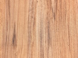 Wisząca szafka RTV GLADSTONE Jasnozielony 10