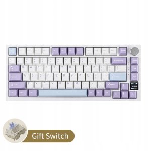 Klawiatura AK820 Pro Flying Fish Switch Purple-White-Blue-3 model-RGB 5