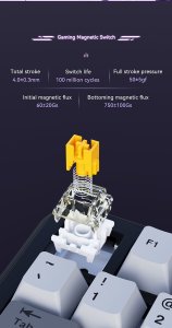 Klawiatura gamingowa mechaniczna AK820 MAX Magnetic switches-Purple-White-Blue-RGB 4