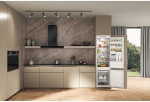 Įmontuojamas šaldytuvas Whirlpool WHC20D023B1 SF 4