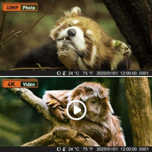 KAMERA LEŚNA FOTOPUŁAPKA MYŚLIWSKA WODOODPORNA IP66 IR 1080p LCD 2" 16 MPX 3