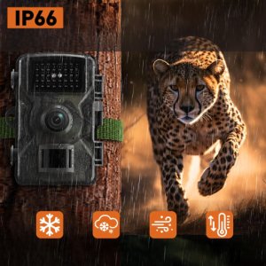 KAMERA LEŚNA FOTOPUŁAPKA MYŚLIWSKA WODOODPORNA IP66 IR 1080p LCD 2" 16 MPX 4