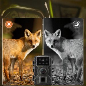 KAMERA LEŚNA FOTOPUŁAPKA MYŚLIWSKA WODOODPORNA IP66 IR 1080p LCD 2" 16 MPX 6