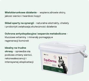 LAB V Lab-v EquiDerma Mieszanka paszowa uzupełniająca dla koni i kucyków 2000g 4