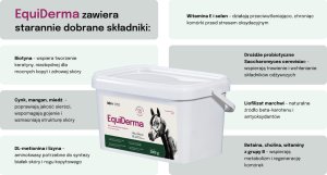 LAB V Lab-v EquiDerma Mieszanka paszowa uzupełniająca dla koni i kucyków 2000g 5