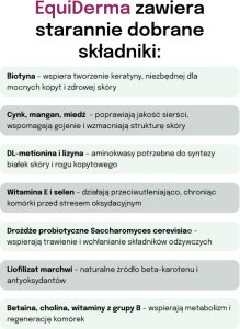 LAB V Lab-v EquiDerma Mieszanka paszowa uzupełniająca dla koni i kucyków 2000g 6