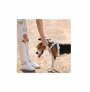 Szelki, dla psa, małe rasy, szare, S, ob.szyi 26-33cm/ob.klatki 30-43cm 2