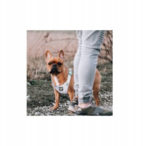 Szelki, dla psa, małe rasy, szare, S, ob.szyi 26-33cm/ob.klatki 30-43cm 3