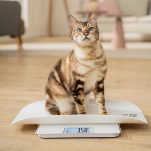 Beurer waga dla zwierząt i ludzi biały PP 170 3