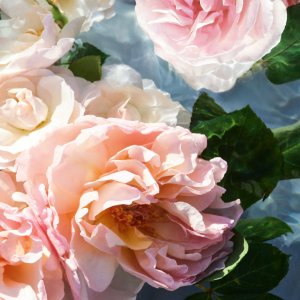 Guerlain Aqua Allegoria Rosa Rossa edt 10ml 3