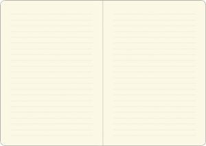 Notatnik Mini Krowa Highland 3