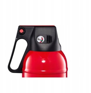 Gaśnica proszkowa 2 kg (P2-GAM) 12