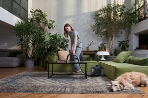 Cyclonic vacuum cleaner HOOVER HP210P 011 13