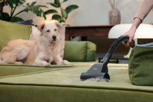 Cyclonic vacuum cleaner HOOVER HP210P 011 8