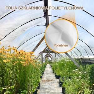 Folia Szklarniowa 6 x 8,5 m 12