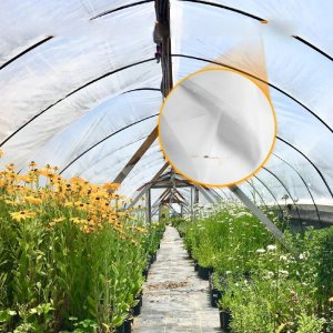 Folia Szklarniowa 9,7 x 7,6 m 6