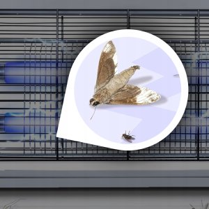 Sanico LAMPA OWADOBÓJCZA UV na komary muchy owady itp. 4