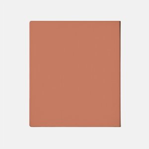 Onyx Onyx Note Max/Tab X C Brazowy 9