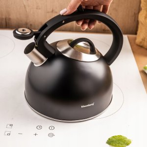 Klausberg CZAJNIK STALOWY Z GWIZDKIEM 2,5L KLAUSBERG KB-7911 10