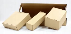 ZB LONDON CLASSIC IPHONE 15 PRO MAX MAYFAIR SWANK 3