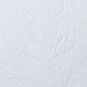 GBC Ok� do bin GBC LeatherGrain A5 bia� 2
