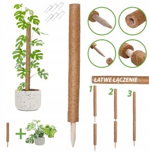 Palik kokosowy 60 cm podpora do roślin tyczka 3