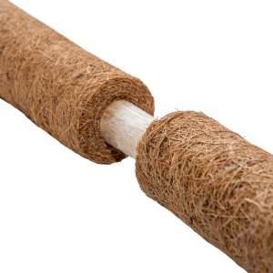 Palik kokosowy 60 cm podpora do roślin tyczka 7