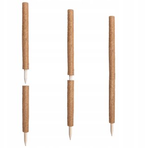 Palik kokosowy 60 cm podpora do roślin tyczka 10