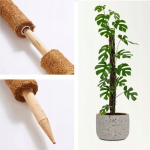 Palik kokosowy 120 cm podpora do roślin tyczka 2