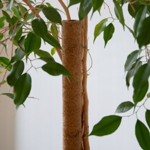 Palik kokosowy 45 cm podpora do roślin tyczka 7