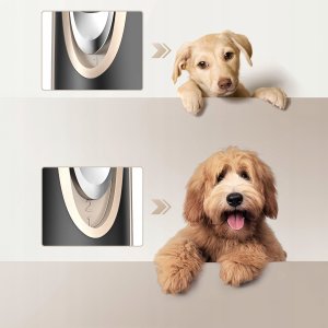 Maszynka do Strzyżenia Psów Psa Kota Zwierząt Zestaw CICHA PROFESJONALNA 3