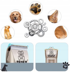 CICHA Maszynka do Strzyżenia Psów Psa Kota Zwierząt Zestaw PROFESJONALNA C8-BLUE 13