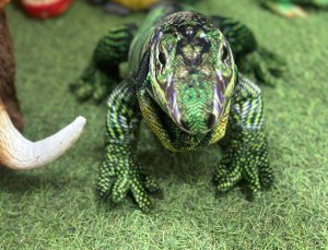 *****Iguana pluszowa 65cm 93301 33019 6