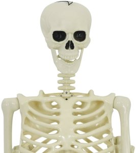 vidaXL Dekoracja Halloween Szkielet 2 pcs Biały 155 x 38.5 cm 5