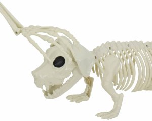 vidaXL Dekoracja Halloween Szkielet 2 pcs Biały 155 x 38.5 cm 7