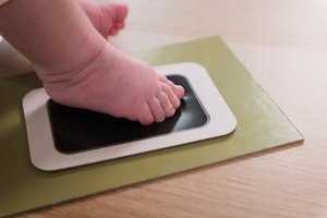 PETTIT ARTCHAUT RAMKA PUZZLE NA ODCISK I ZDJĘCIE ROŚLINY 3700552370824 4