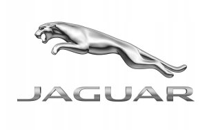 SET JAGUAR Classic EDT spray 100ml + BATH &amp; SHOWER GEL 200ml 3