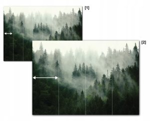 Fototapeta Winylowa Tygrys Zwierzęta Do Sypialni Salonu 416x254 7
