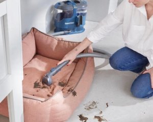 Vacmaster SCA0801 Odkurzacz piorący 800W 2,5L nowy 10